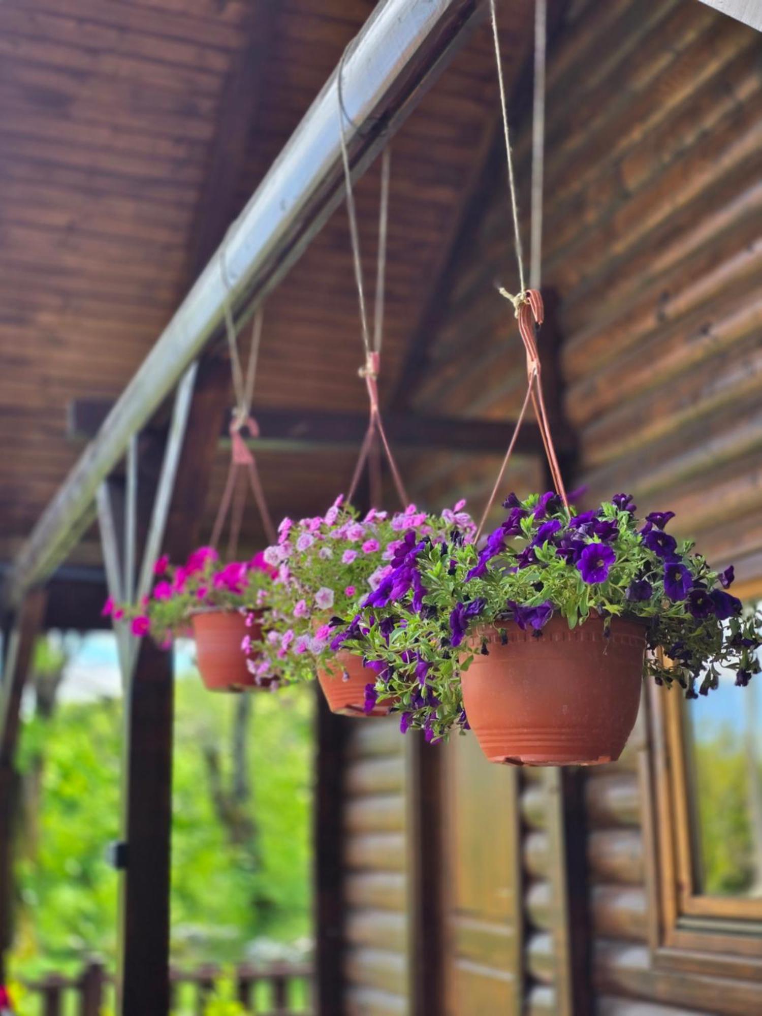 Cabin House Dubovik Цетине Экстерьер фото
